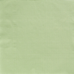 Sage Green Party Supplies