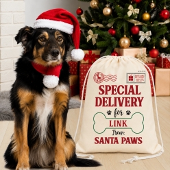 Santa Paws Christmas Personalized Drawstring Backpack