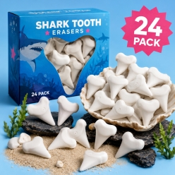 Shark Tooth Shaped Erasers - 24Pk