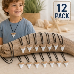 Shark Tooth 30