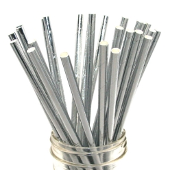 Silver Metallic Straws - 24 Pk