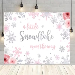 A Little Snowflake is On the Way 70.9