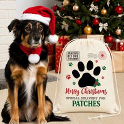 Special Delivery Paw Personalized Drawstring Backpack