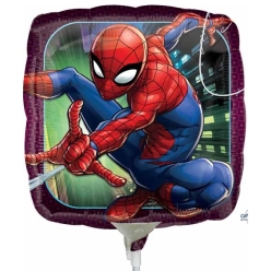 Spiderman Animated 18
