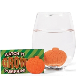Watch It Grow Pumpkin