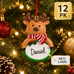 Write-A-Name Reindeer Ornaments - 12 Pack
