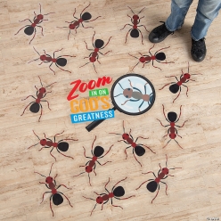 Zoom In VBS Floor Decals